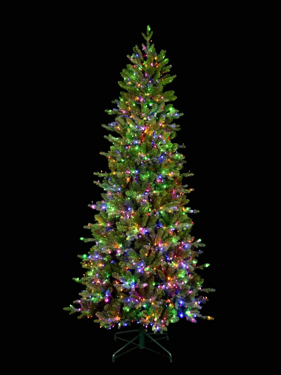 Alberta Slim Spruce 7.5'